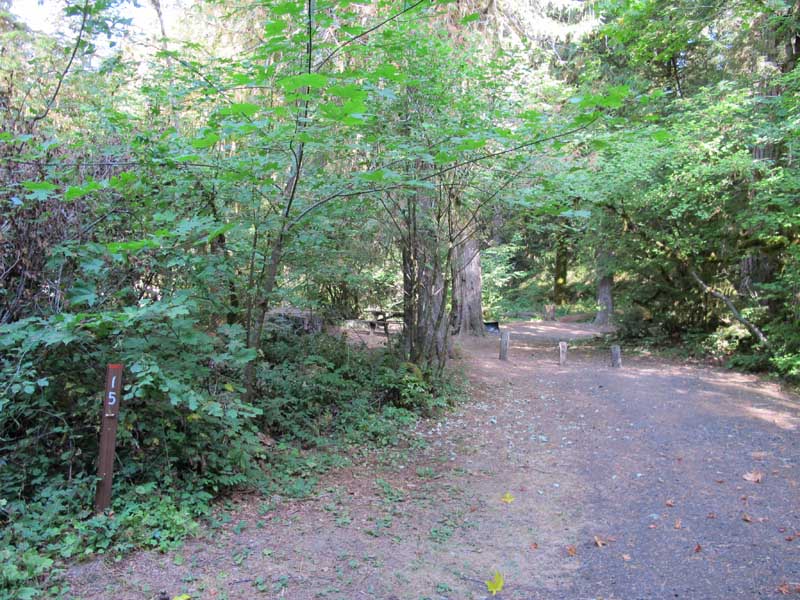 Riverside Campground - Clackamas River, Oregon