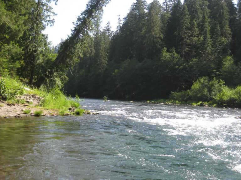 Riverside Campground - Clackamas River, Oregon