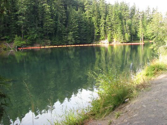 Escape to Tranquility: Your Guide to Harriet Lake Rustic Campground