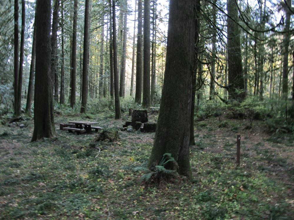 Tollgate Campground - Mt Hood National Forest