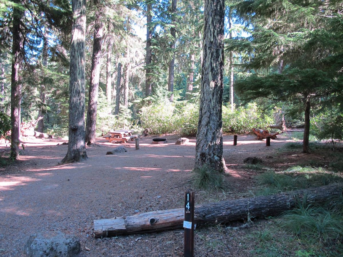 Hood View Campground, Timothy Lake, Oregon