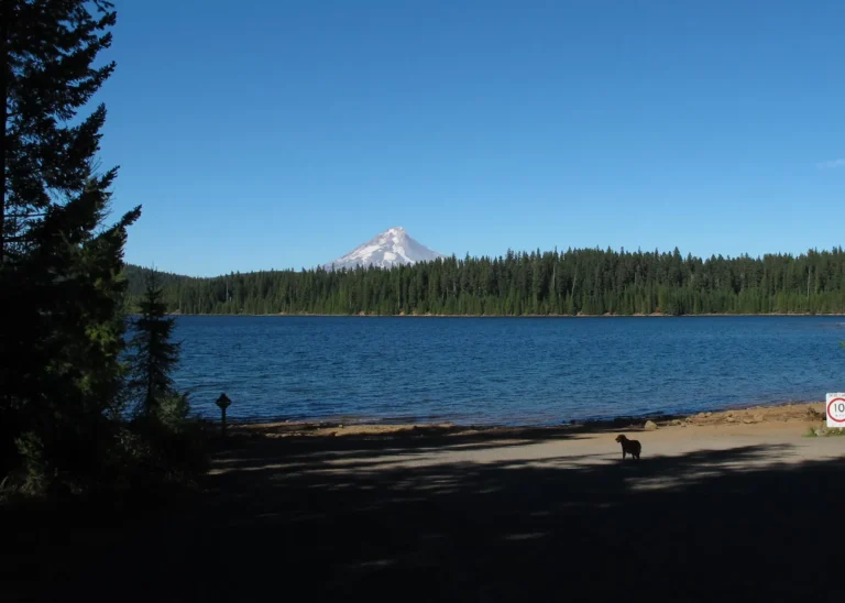 Gone Creek Campground view of Mt. Hood and Timothy Lake