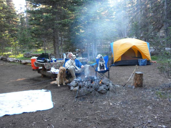 Morrison Creek Campground Gifford Pinchot National Forest Washington