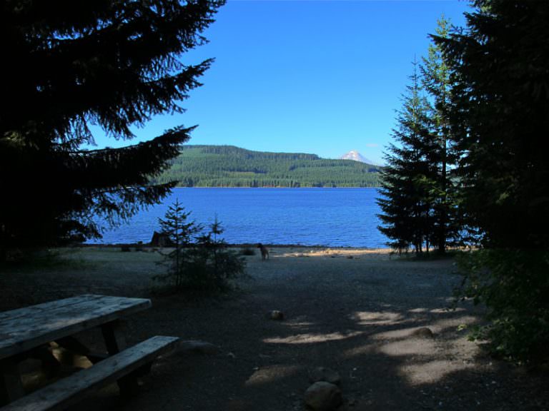 Hoodview Campground Timothy Lake