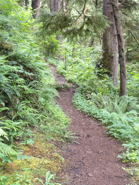 Cape Lookout State Park Campground - Tillamook, Oregon Coast