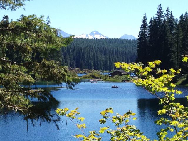 Cold Water Cove Campground, Clear Lake - McKenzie River