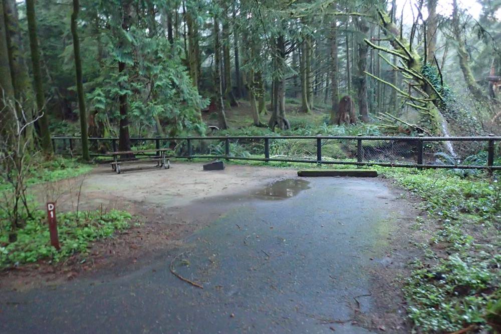 Beverly Beach State Park and Campground, Oregon Camping