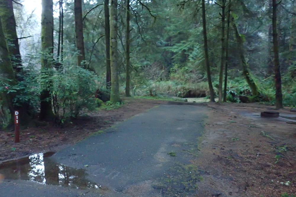 Beverly Beach State Park and Campground, Oregon Camping