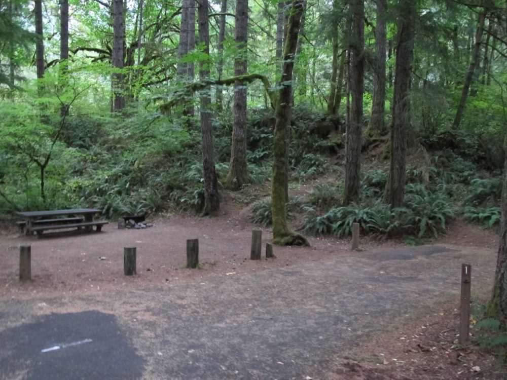 Lazy Bend Campground, Clackamas River, Estacada, Oregon