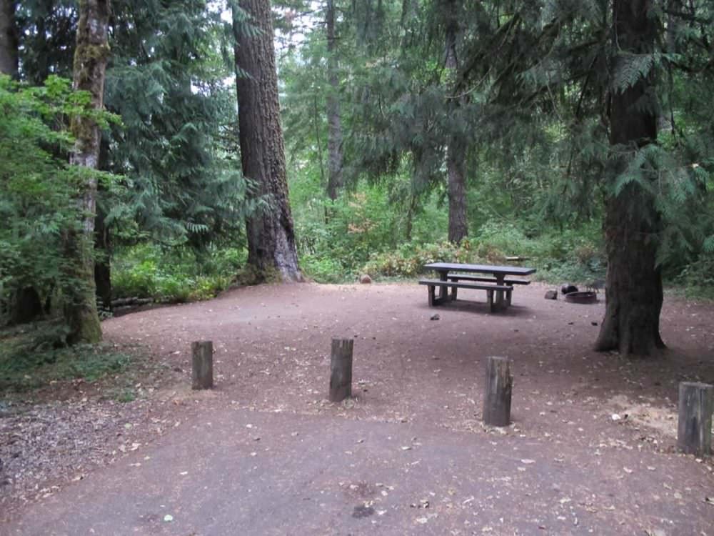 Lazy Bend Campground, Clackamas River, Estacada, Oregon