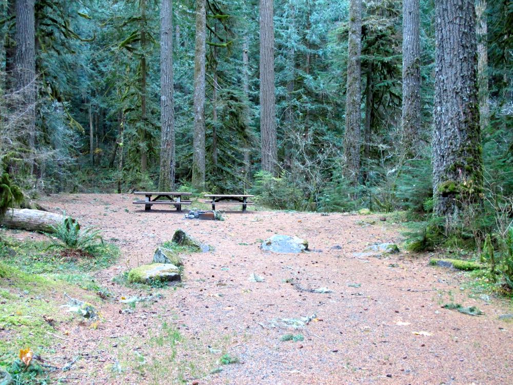 Camp Creek Campground | Mount Hood, Oregon