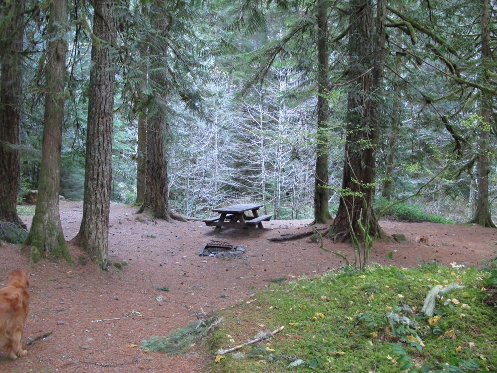 Camp Creek Campground Mount Hood Oregon 4908