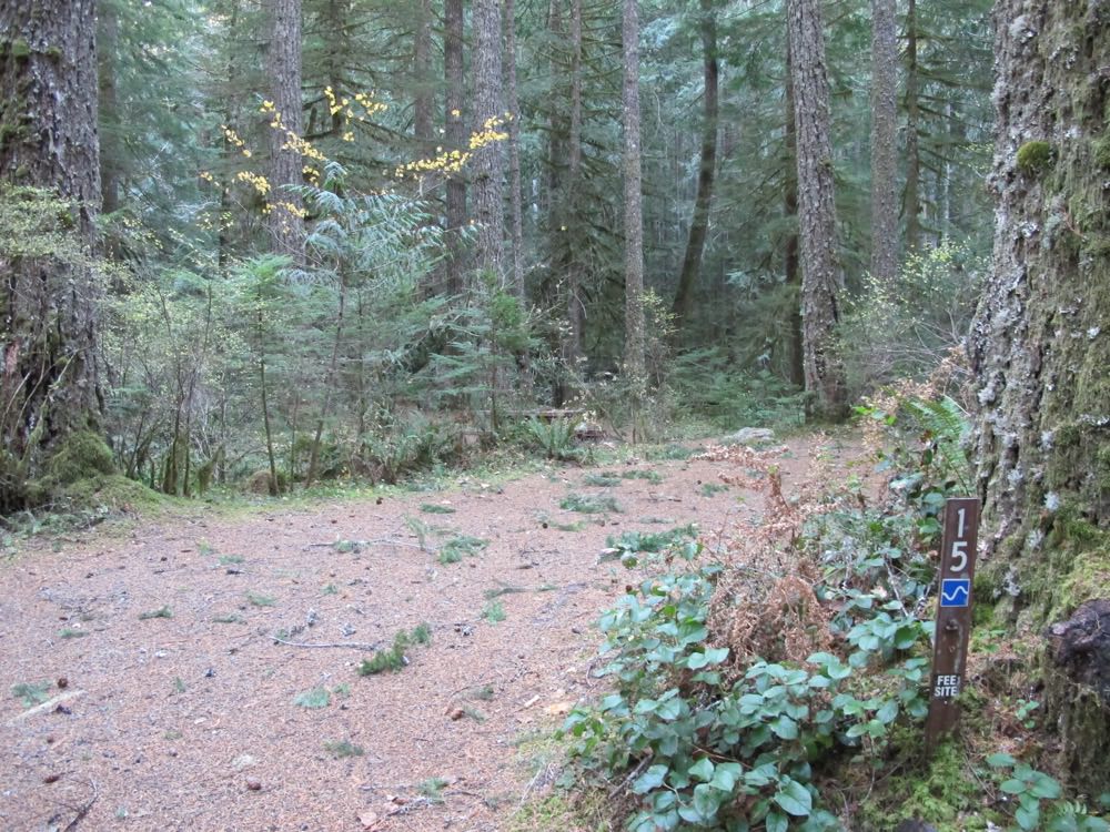 Camp Creek Campground | Mount Hood, Oregon