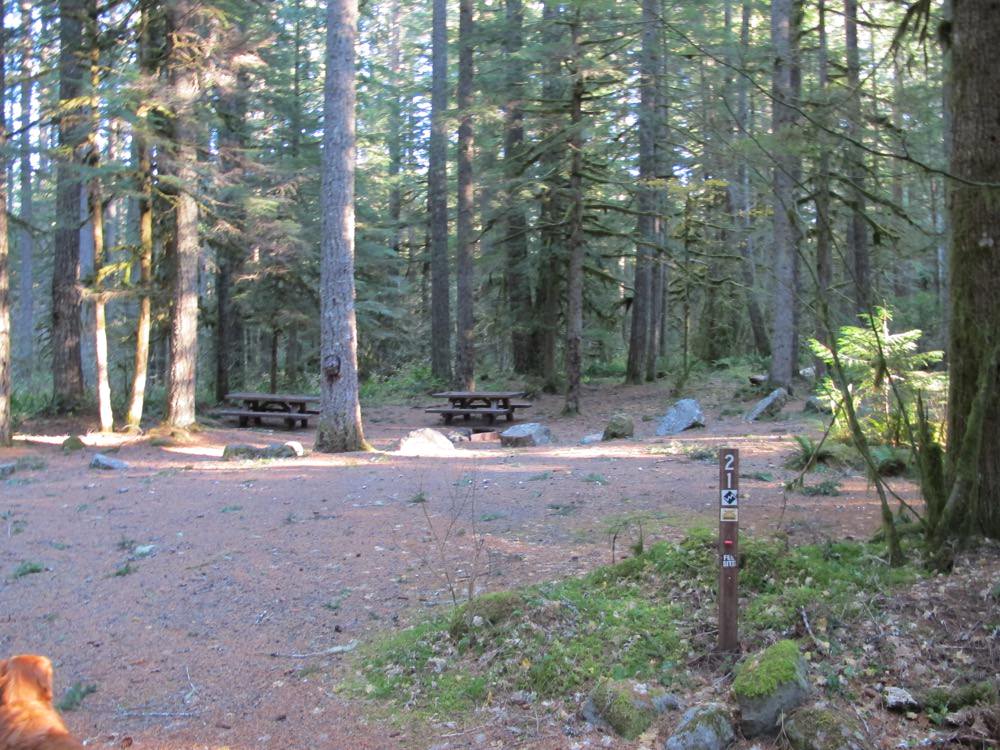 Camp Creek Campground | Mount Hood, Oregon