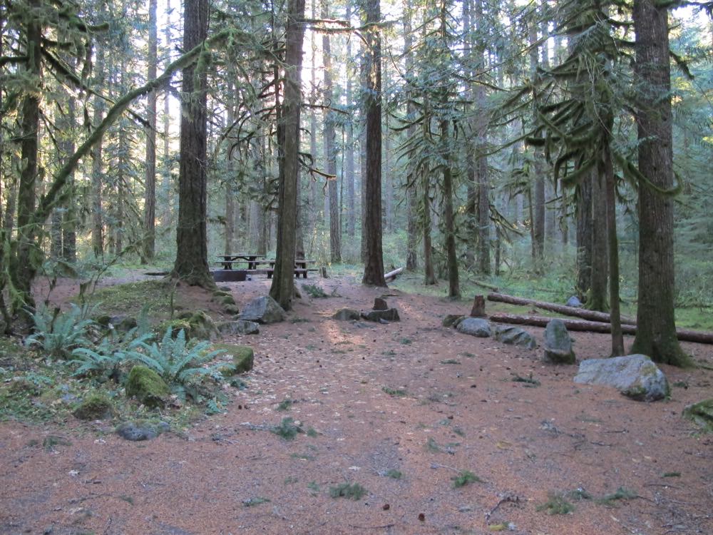 Camp Creek Campground | Mount Hood, Oregon