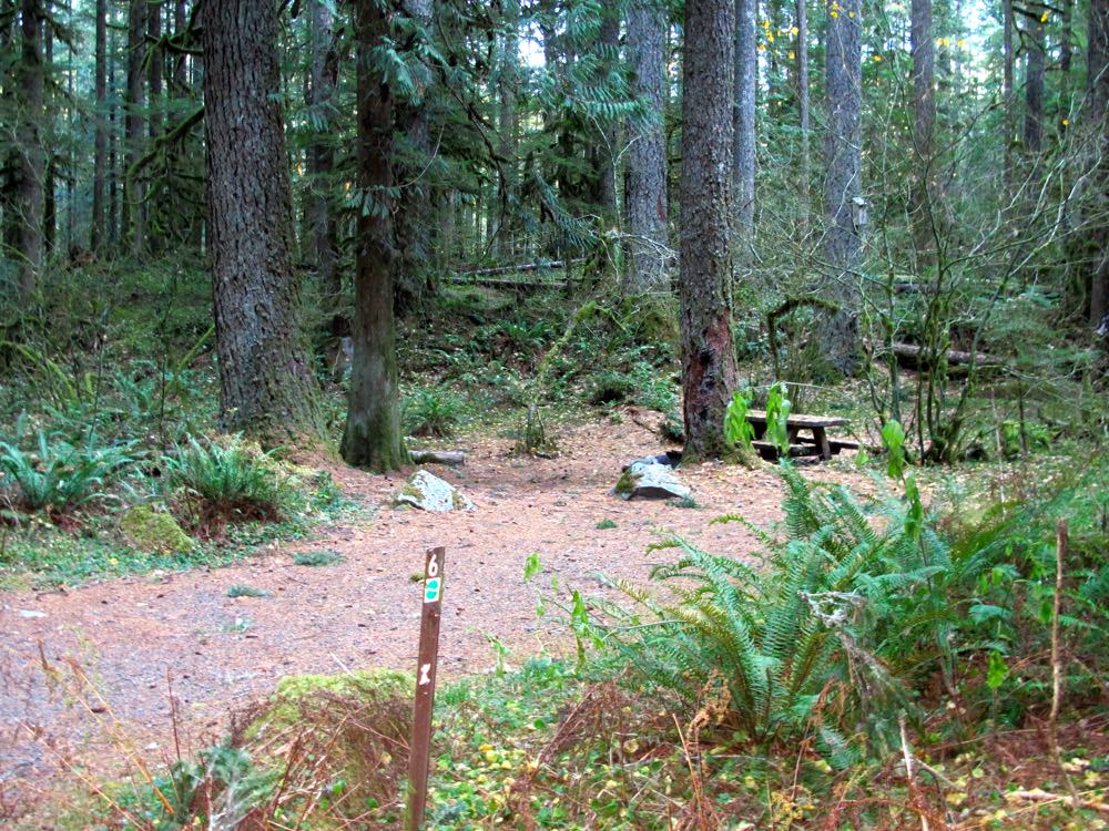 Camp Creek Campground | Mount Hood, Oregon