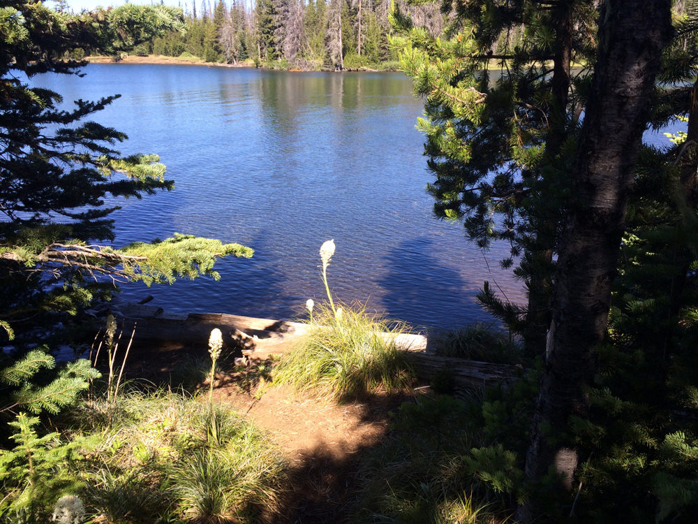 Big Lake Campground, Santiam Pass, Oregon - Hoodoo