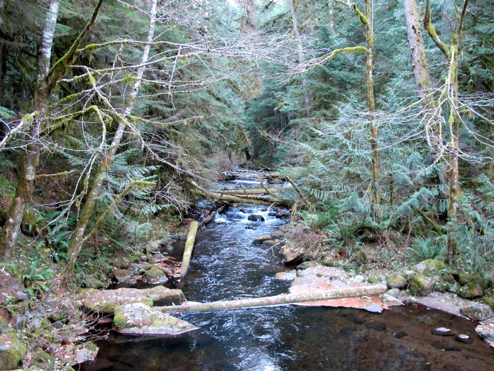 Camp Creek Campground | Mount Hood, Oregon