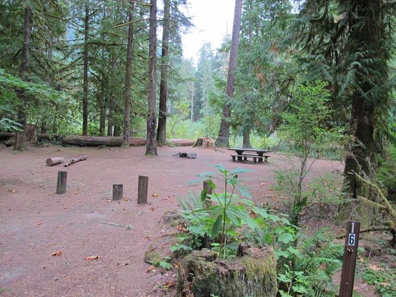 Fish Creek Campground - Clackamas River, Oregon