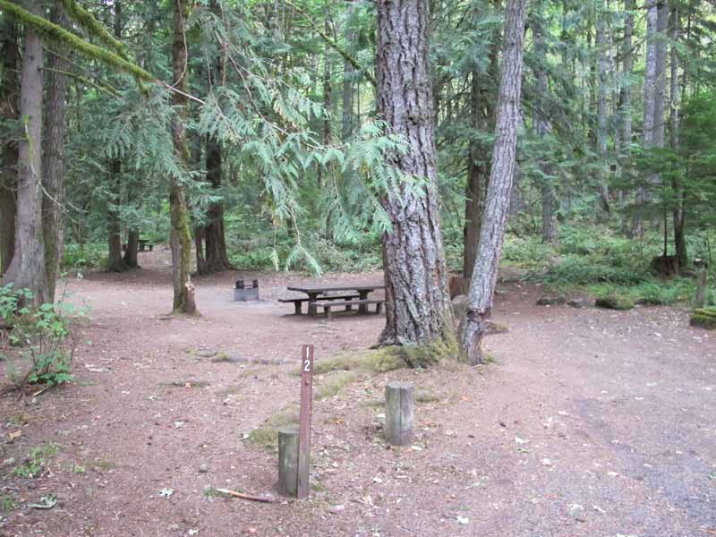 Carter Bridge Campground, Clackamas River, Oregon - Mt. Hood National 