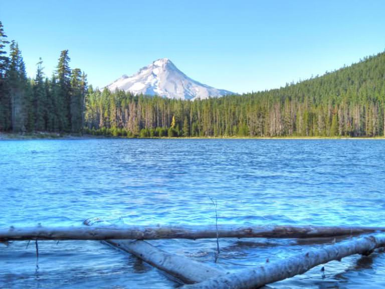 Frog Lake Campground