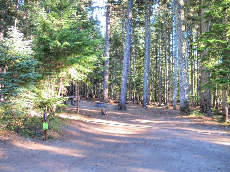 Frog Lake Campground Oregon - Mount Hood