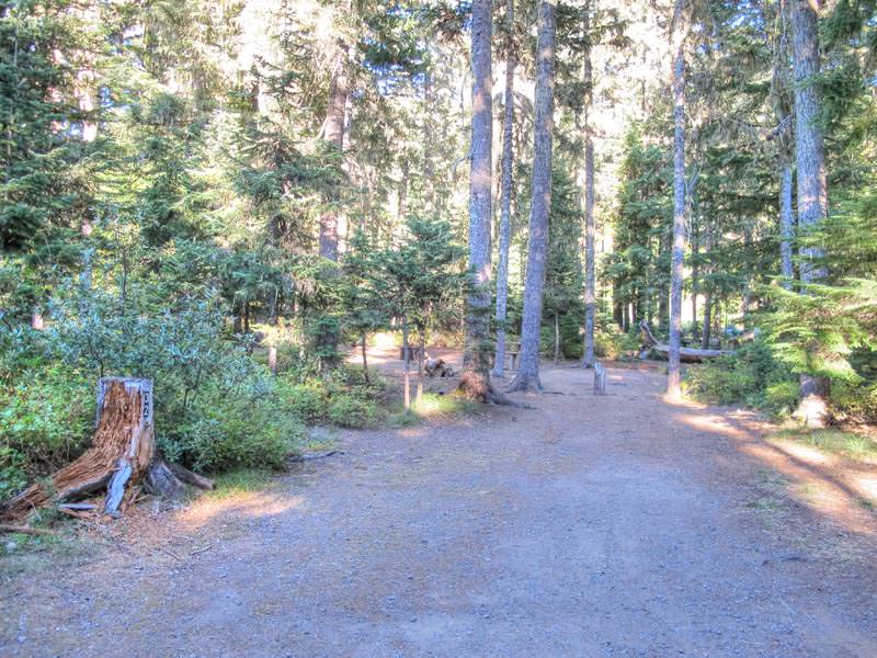 Frog Lake Campground Oregon - Mount Hood