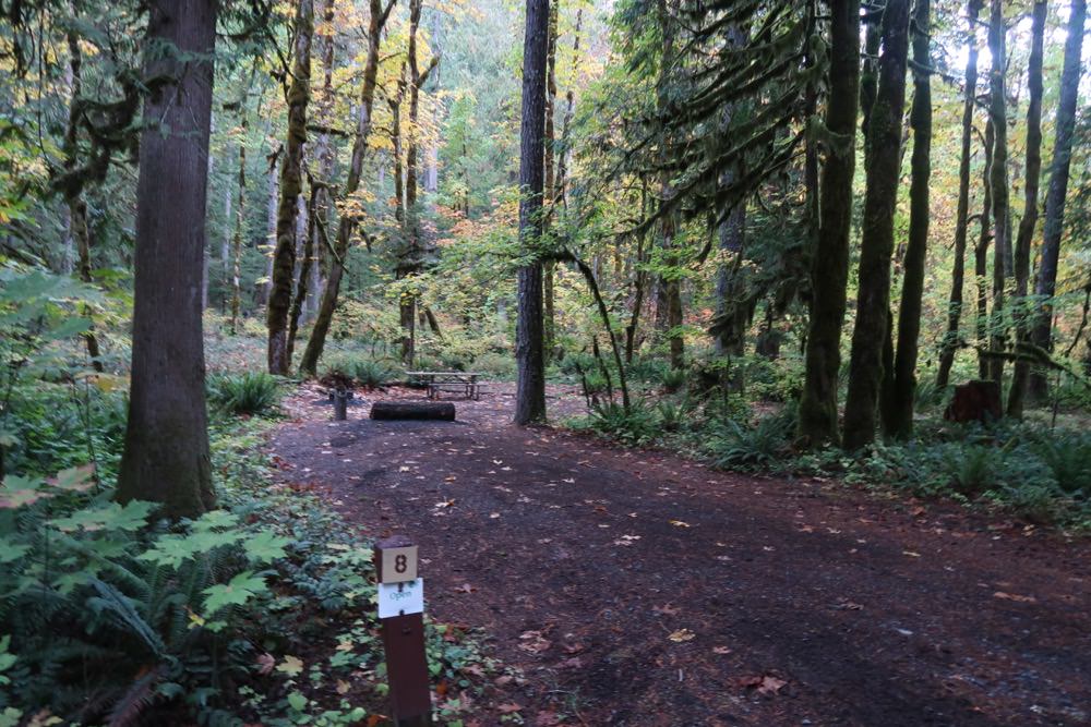 Panther Creek Campground - Gifford Pinchot National Forest, Washington