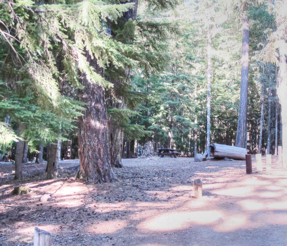 Clear Lake Campground, Mt. Hood - Oregon