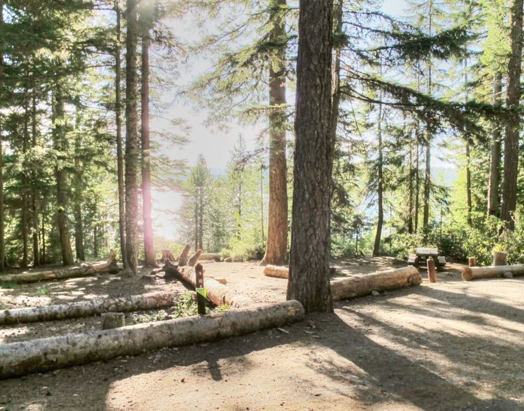 Clear Lake Campground, Mt. Hood - Oregon