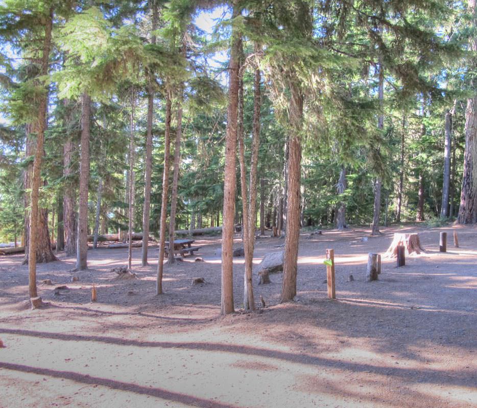 Clear Lake Campground, Mt. Hood - Oregon