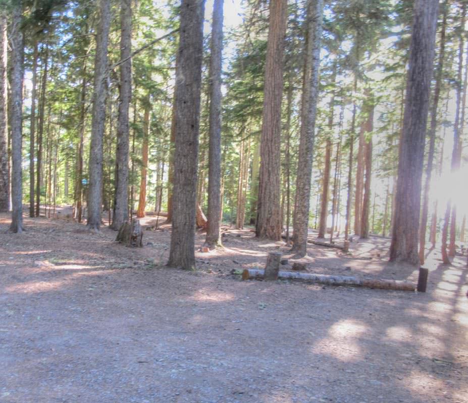 Clear Lake Campground, Mt. Hood - Oregon