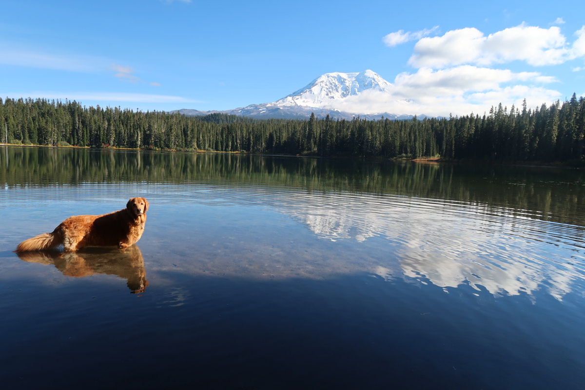 Takhlakh Lake Campground - Mount Adams, Washington, Gifford Pinchot