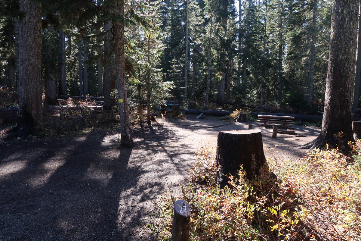 Takhlakh Lake Campground - Mount Adams, Washington, Gifford Pinchot