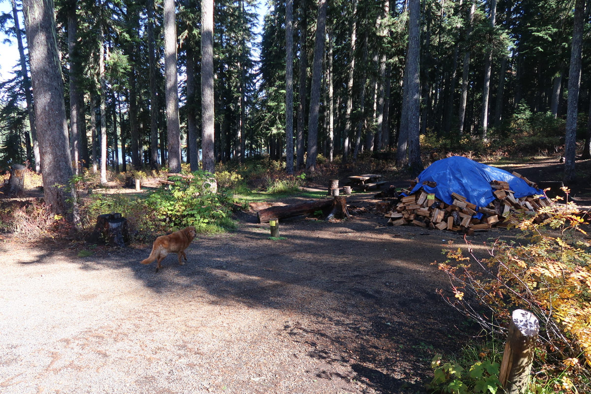 Takhlakh Lake Campground - Mount Adams, Washington, Gifford Pinchot