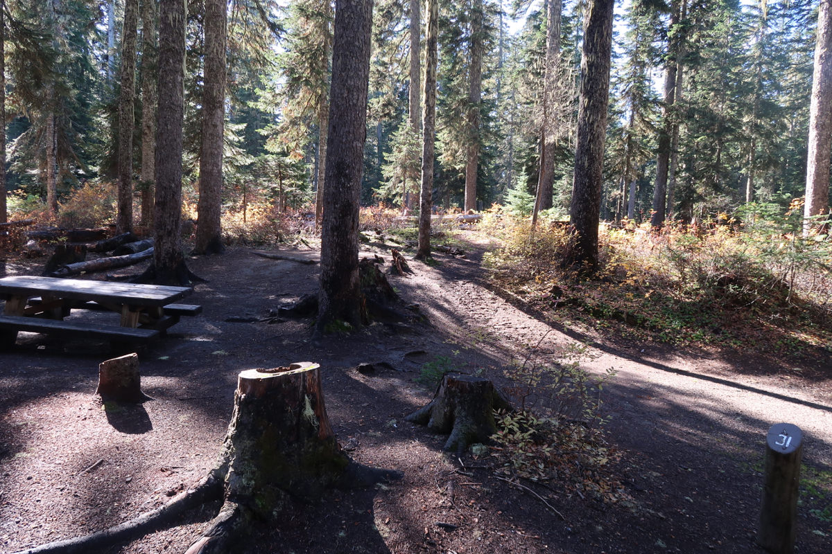 Takhlakh Lake Campground - Mount Adams, Washington, Gifford Pinchot