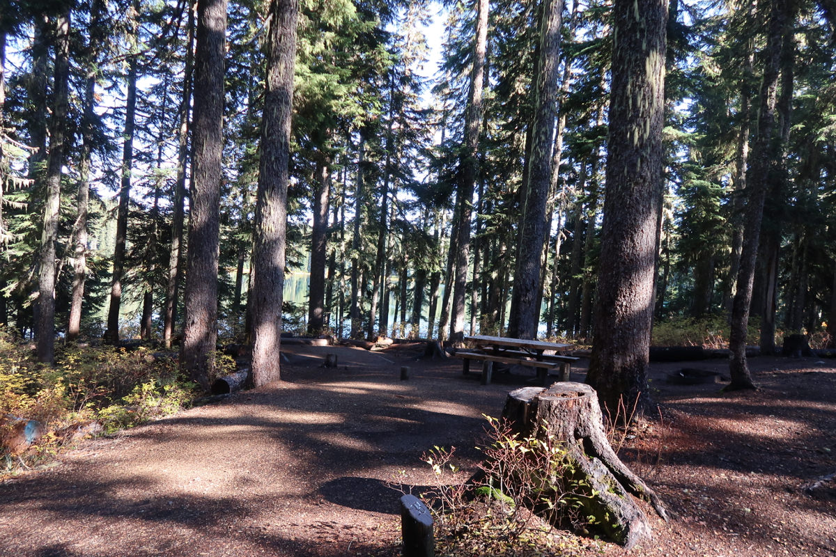 Takhlakh Lake Campground - Mount Adams, Washington, Gifford Pinchot