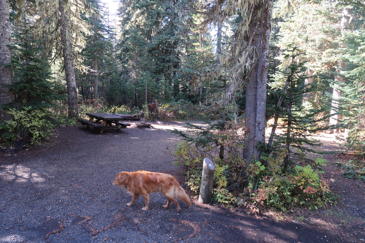 Takhlakh Lake Campground - Mount Adams, Washington, Gifford Pinchot