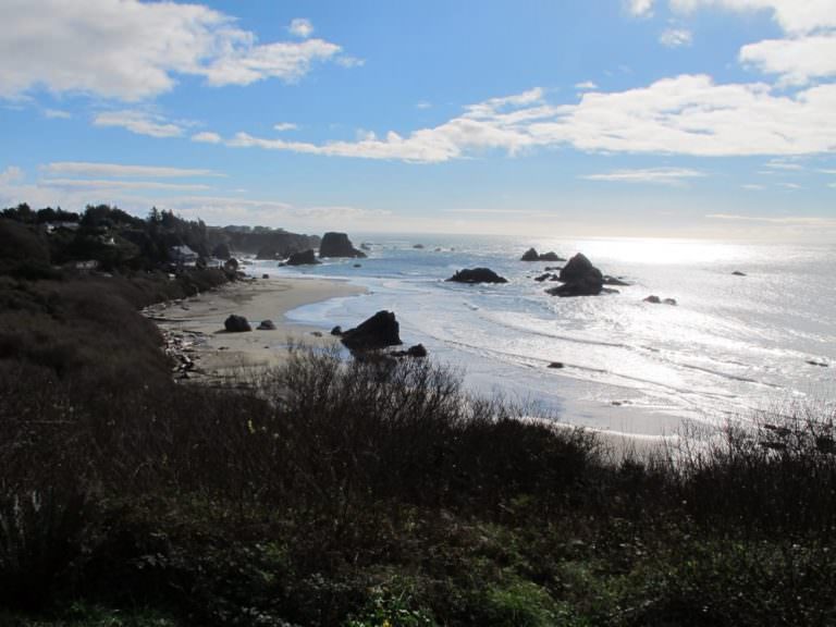 Harris Beach State Park Viewpoint