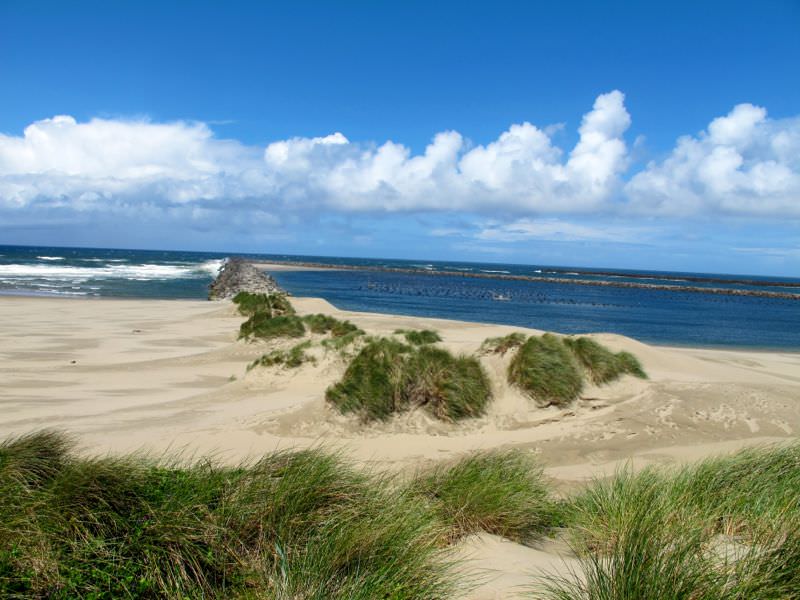 Half Moon Bay Campground, Oregon Dunes - Reedsport