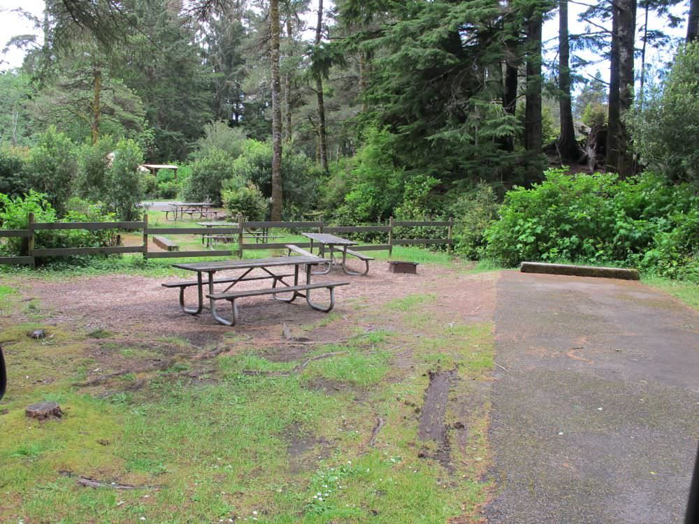 Umpqua Lighthouse State Park Campground - Oregon Coast