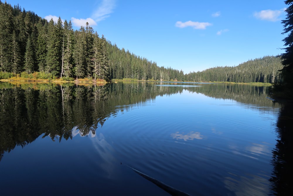 Council Lake Campground - Gifford Pinchot National Forest, Washington