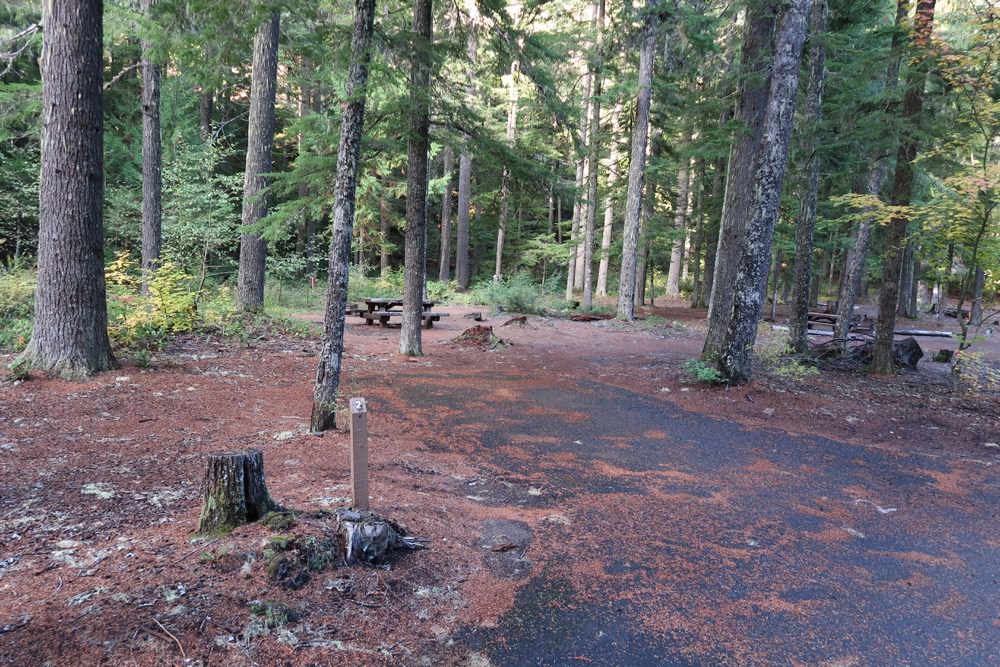 Adams Fork Campground - Gifford Pinchot National Forest, Washington