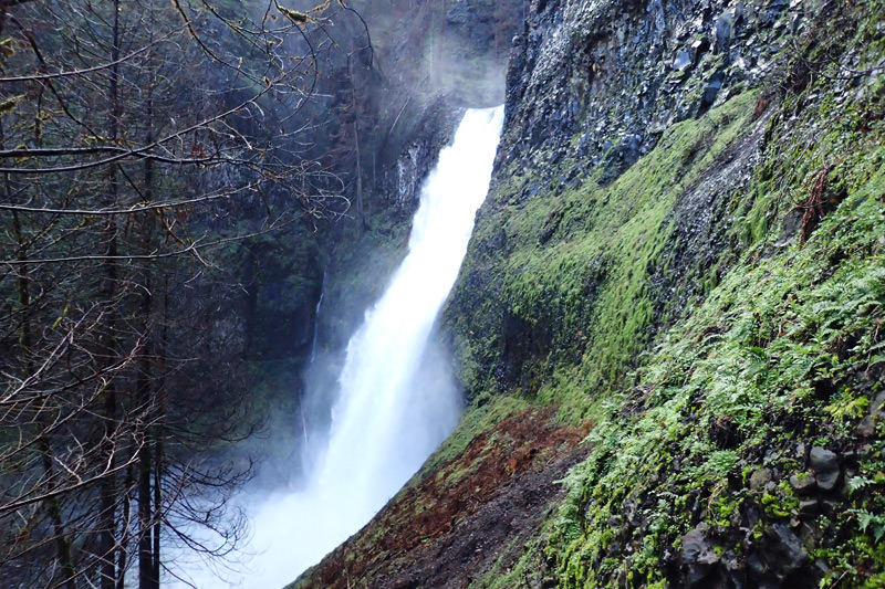 Clackamas Falls - South Fork Clackamas River and Memaloose Creek