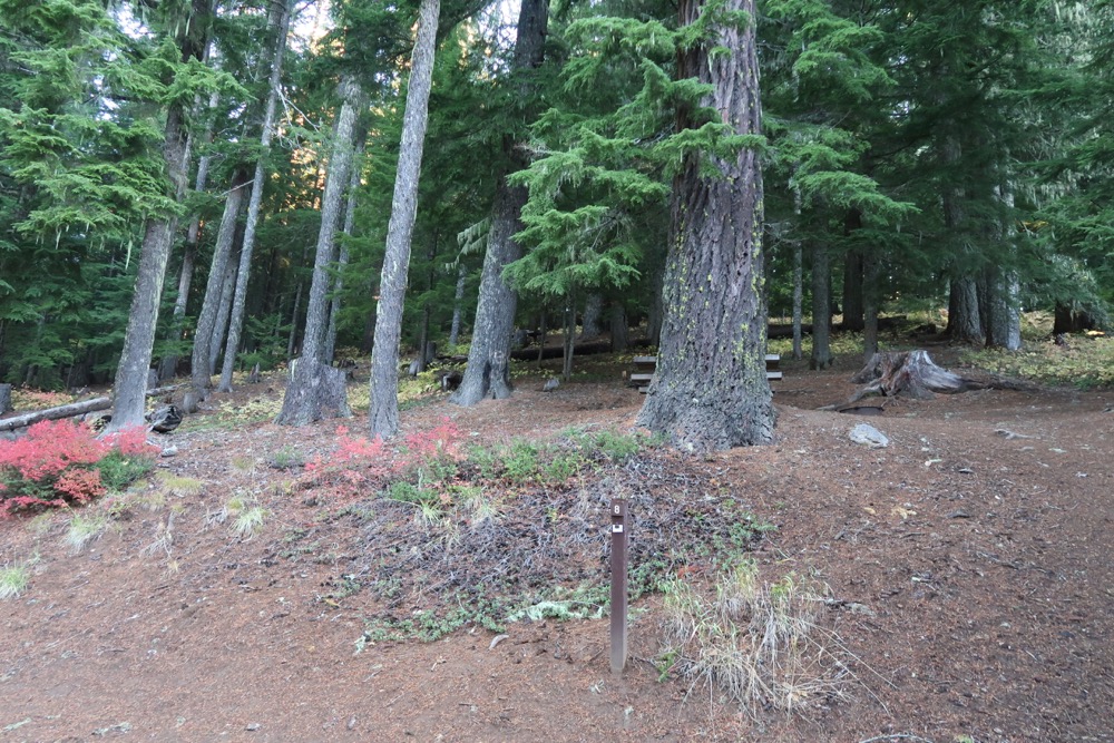 Goose Lake Campground Ford Pinchot National Forest Washington