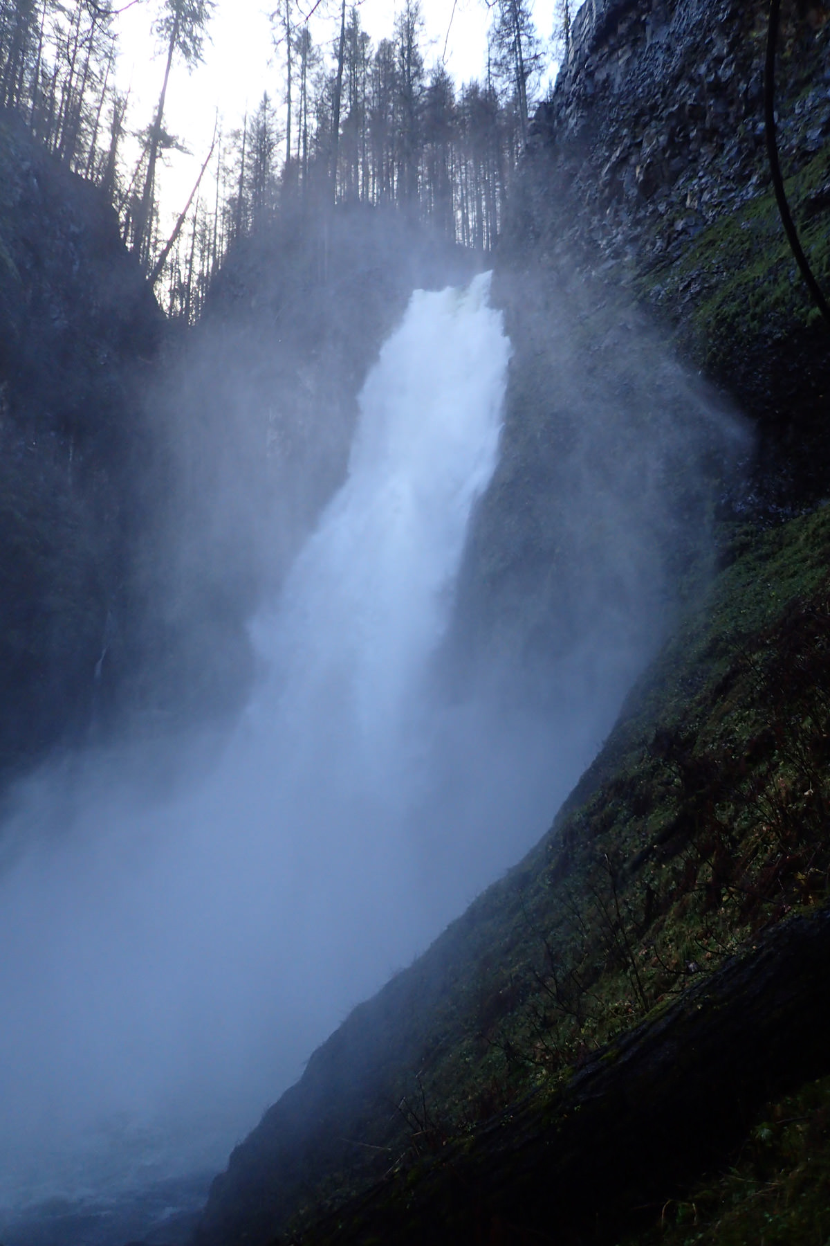 Clackamas Falls - South Fork Clackamas River and Memaloose Creek