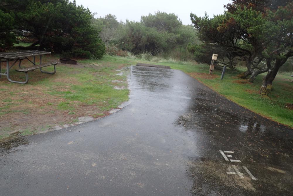 Nehalem Bay State Park Campground- Oregon Coast