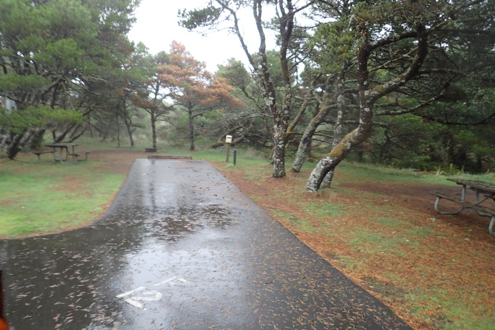 Nehalem Bay State Park Campground- Oregon Coast