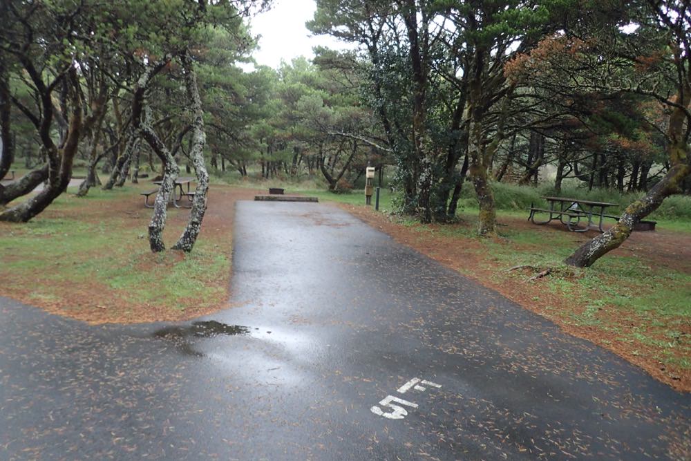 Nehalem Bay State Park Campground- Oregon Coast