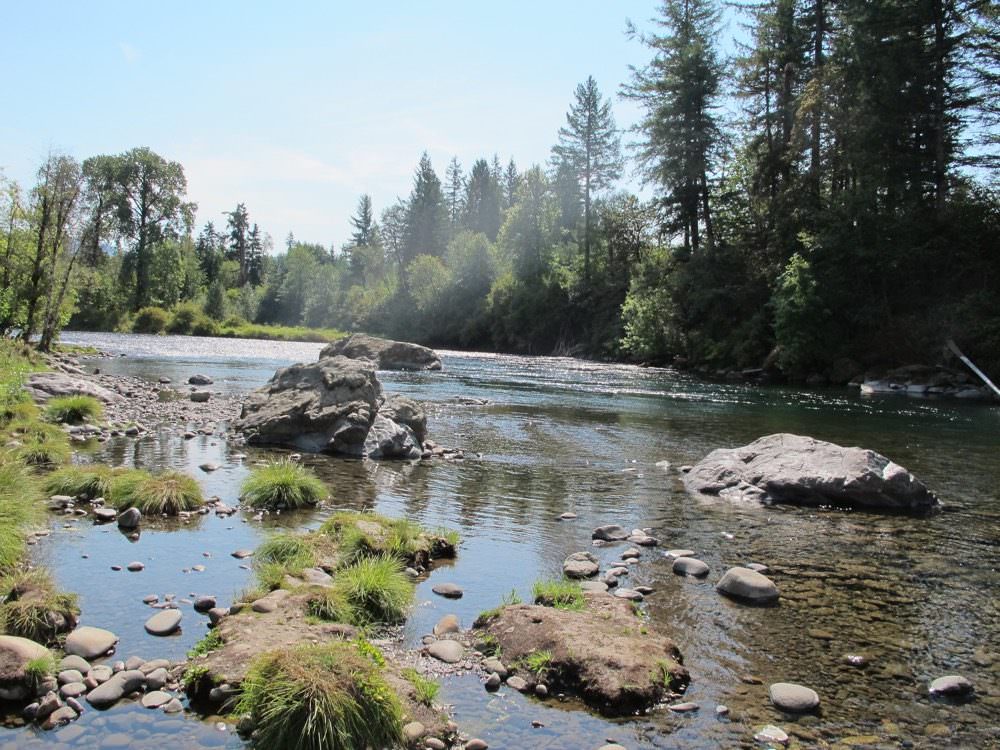 Escape To The Emerald Heart: Oregon’s North Santiam State Recreation Area